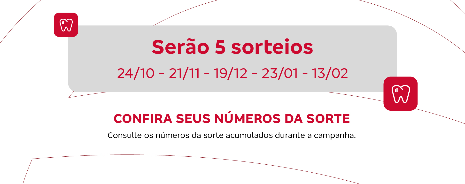 Serão 5 sorteios: 24/10, 21/11, 19/12, 23/01 e 13/02. Confira seus números da sorte.